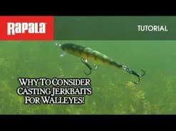 Rapala Husky Jerk 14 Cm [18 G] SP 1-pack -Haspelspön Försäljningsbutik hqdefault 946 21