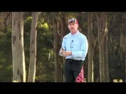 Rapala Original Floater 13 Cm 1-pack -Haspelspön Försäljningsbutik hqdefault 947 18