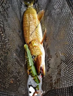 Savage Gear 4D Line Thru Pike 25 Cm SS 1-pack -Haspelspön Försäljningsbutik line thru pike