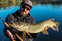 Savage Gear 4D Line Thru Trout 20 Cm [98 G] MS 1-pack -Haspelspön Försäljningsbutik linethru.trout 2