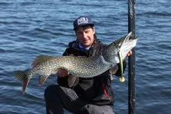 Svartzonker McPike 21 Cm 2-pack -Haspelspön Försäljningsbutik mcpike 1