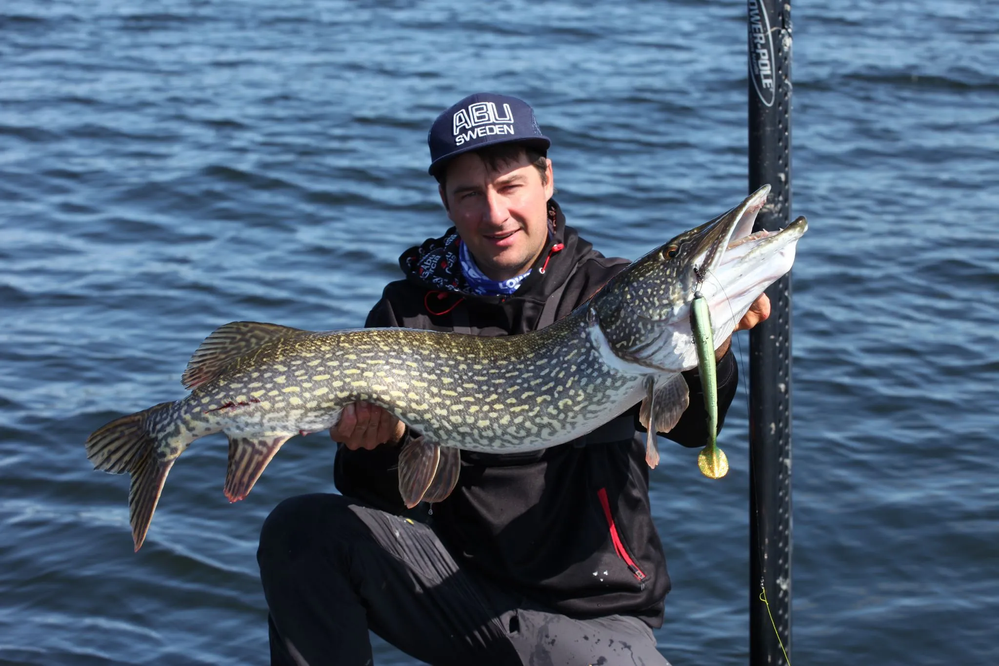 Svartzonker McPike 25 Cm 2-pack 6 Svartzonker McPike 25 Cm 2-pack - Bild 4