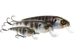 Westin RawBite Crankbait 15 Cm [61 G] SF 1-pack -Haspelspön Försäljningsbutik p104 rawbite headline x1 large 1