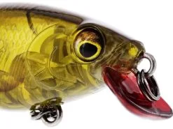Westin BuzzBite SR Crankbait 5 Cm [6 G] SF 1-pack -Haspelspön Försäljningsbutik p147 x1 large