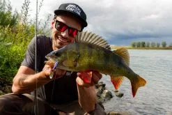 Berkley Pulse Spintail 7.5 Cm [21 G] 1-pack -Haspelspön Försäljningsbutik pulse spintail 1